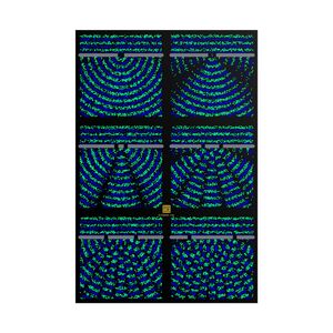 Poster: Double Slit Experiment