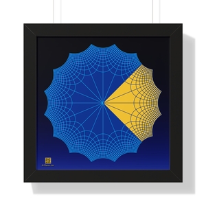Framed Poster: Complex Fourth Roots