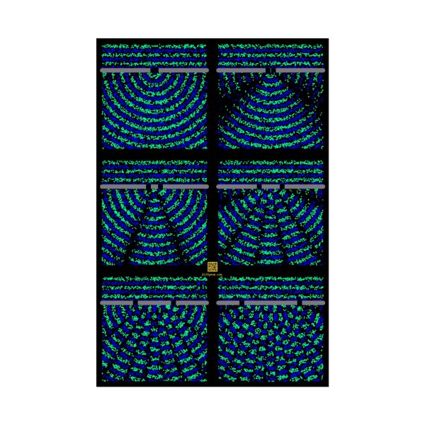 Poster: Double Slit Experiment - Image 16