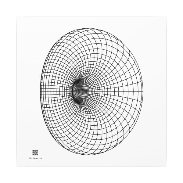 Canvas: Cyclide Black