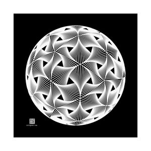 Poster: Diatom White