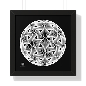 Framed Poster: Diatom White