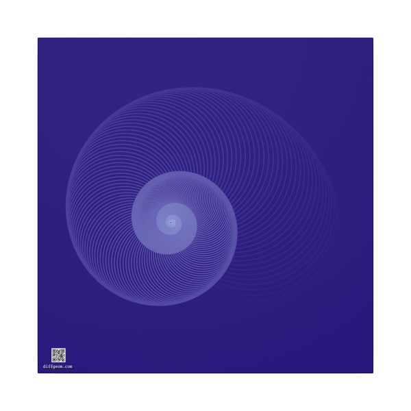 Canvas: Nautilus